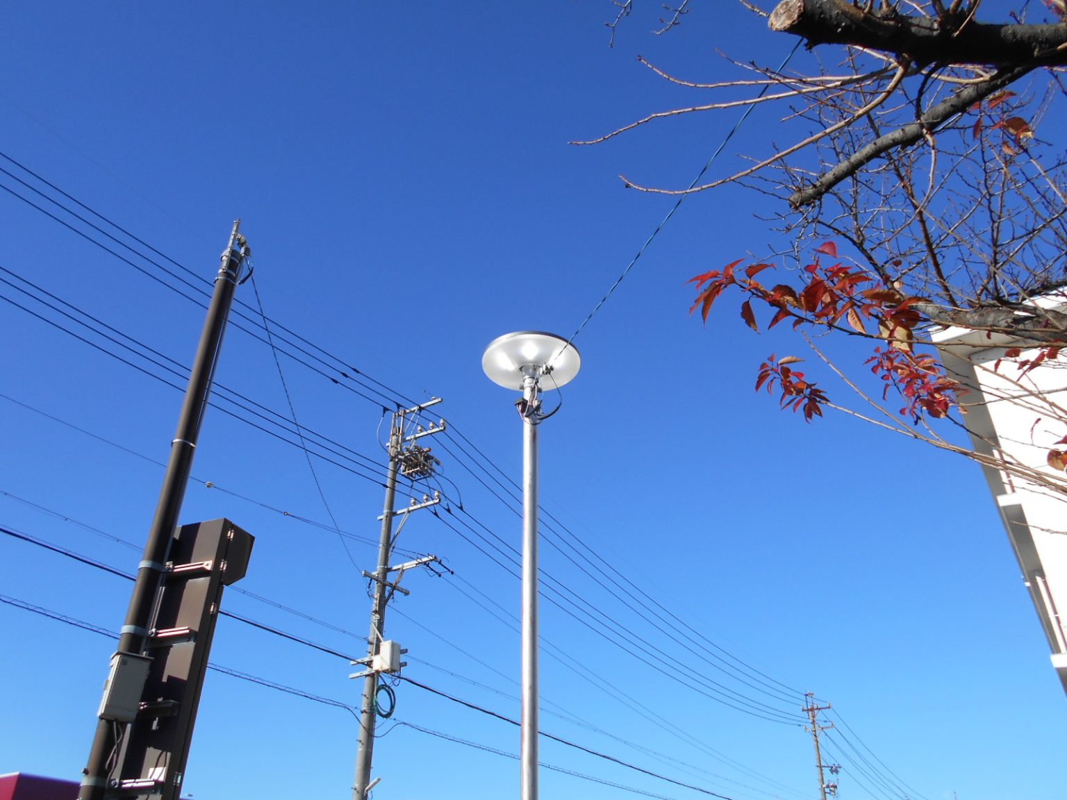 某高等学校 外灯LED化工事の写真(岐阜県岐阜市)
